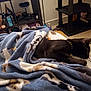 cat, black_cat, blanket, sleeping, indoor, carpet, cat_tree, shelf, bottle, decor, necklace, animal_print, furniture, cozy, resting, pet, home, soft, relaxation, cute