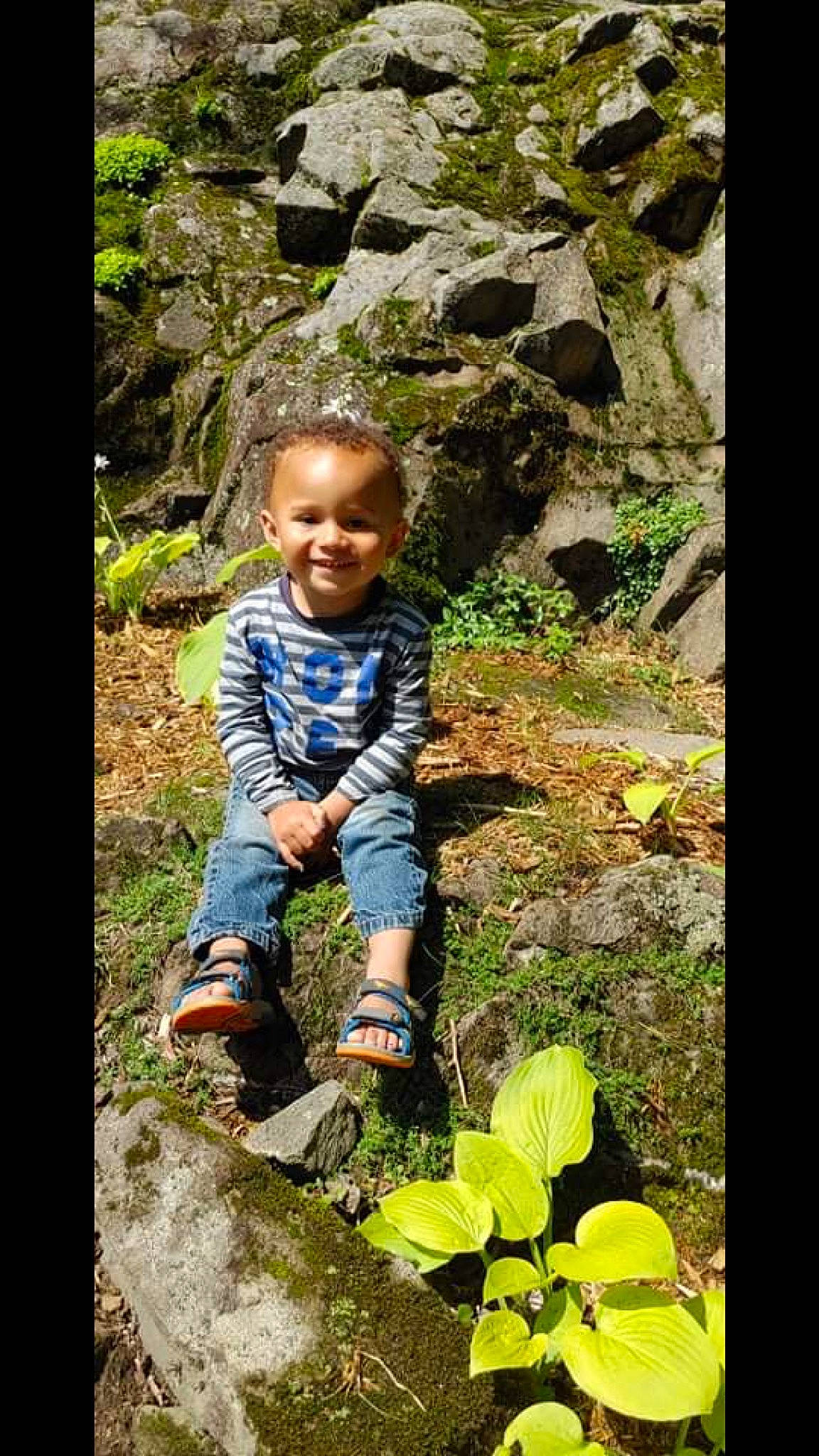 Lovik participe au concours pour gagner de l'argent avec cette photo : adaptation, beauty, botany, forest, grass, groundcover, happy, joy, landscape, leaf, leisure, natural_environment, natural_landscape, organism, people_in_nature, person, plant, smile, terrestrial_plant, toddler