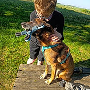 Mylo participe au concours pour gagner de l'argent avec cette photo : affection, animal, casual, dog, friendship, glasses, grass, greenery, happy, leisure, nature, outdoor, park, person, pet, rope_toy, summer, sunlight, table, toy