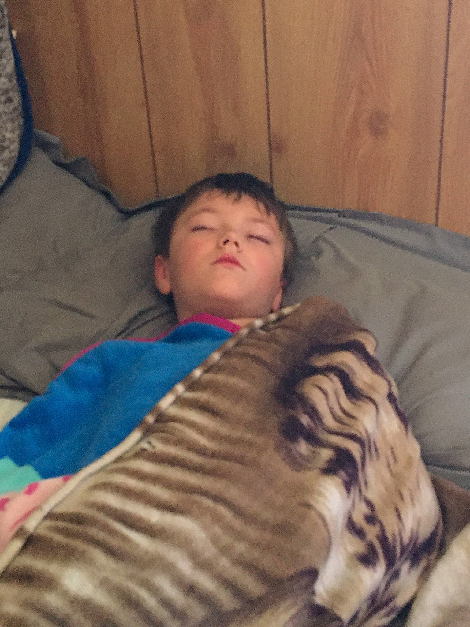 David Jr is registered to the contest to win money with this photo: fur, person, sleep