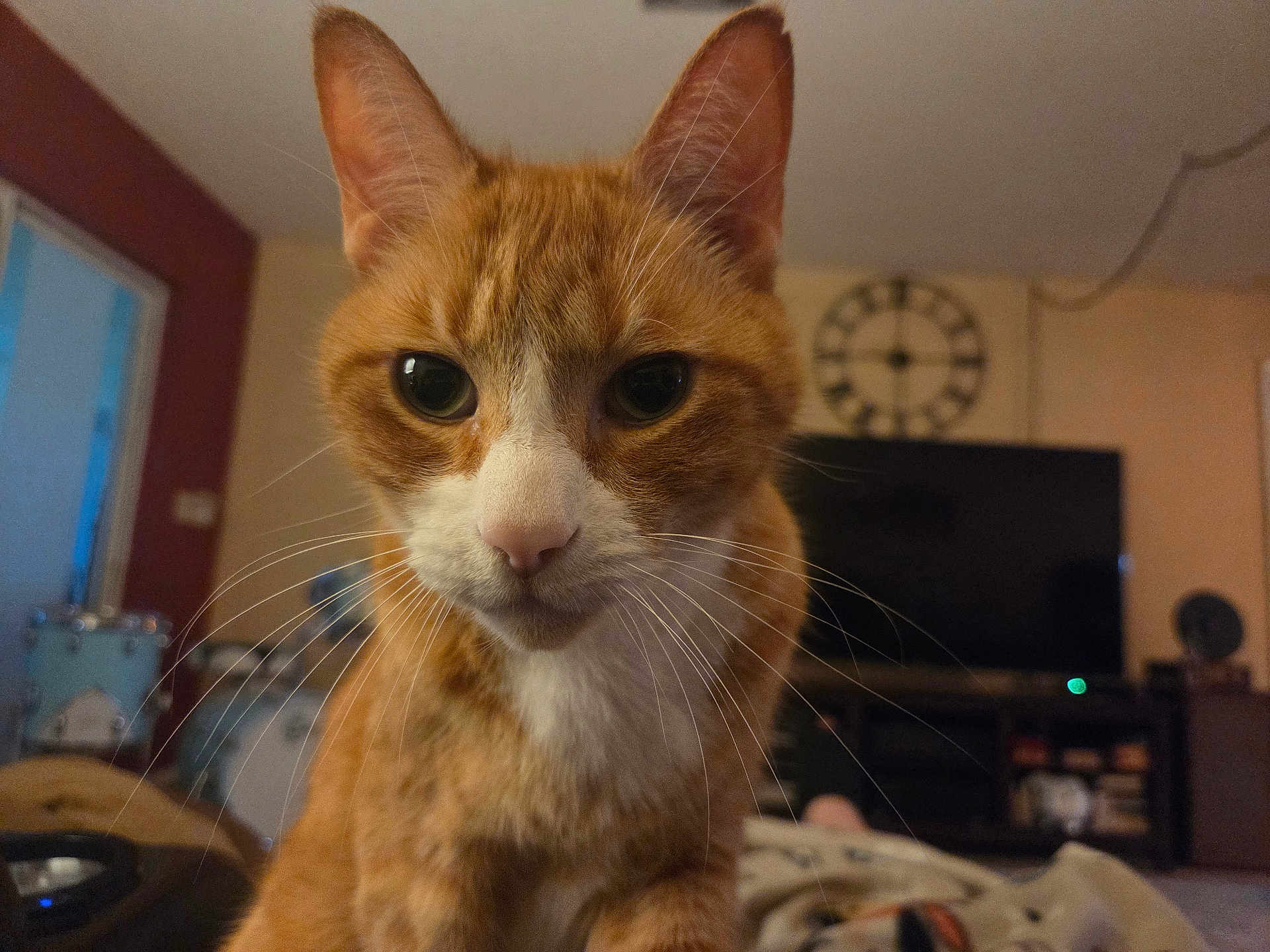 Alvin