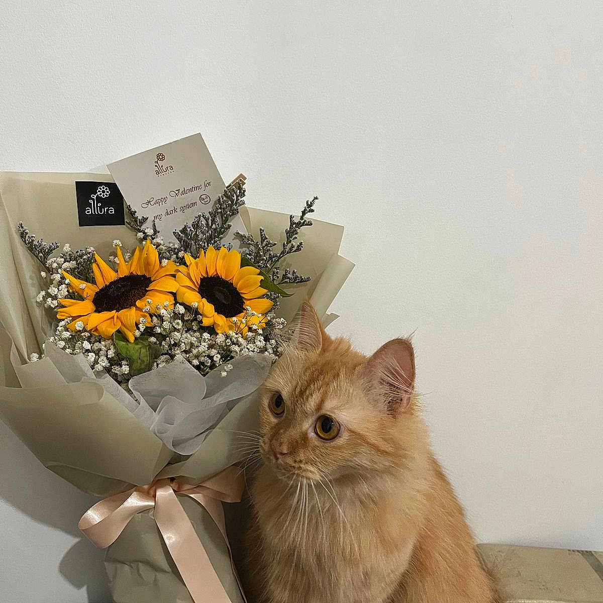 Mochi Taehyung