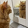 cat, orange_cat, reflection, mirror, indoor, feline, pet, curious, bedroom, bed, blanket, tile_floor, collar, fur, whiskers, close_up, animal, looking, home, cozy