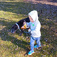 Zeus is registered to the contest to win money with this photo: black_dog, blue_shoes, casual_clothing, child, daytime, dog, fun, grass, hoodie, leash, leaves, nature, outdoor, person, pet, playful, snack_bag, sunlight, trees, walking