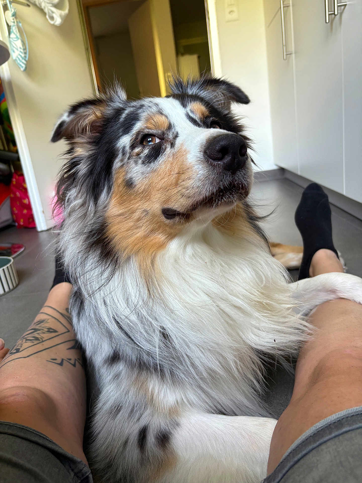Loki