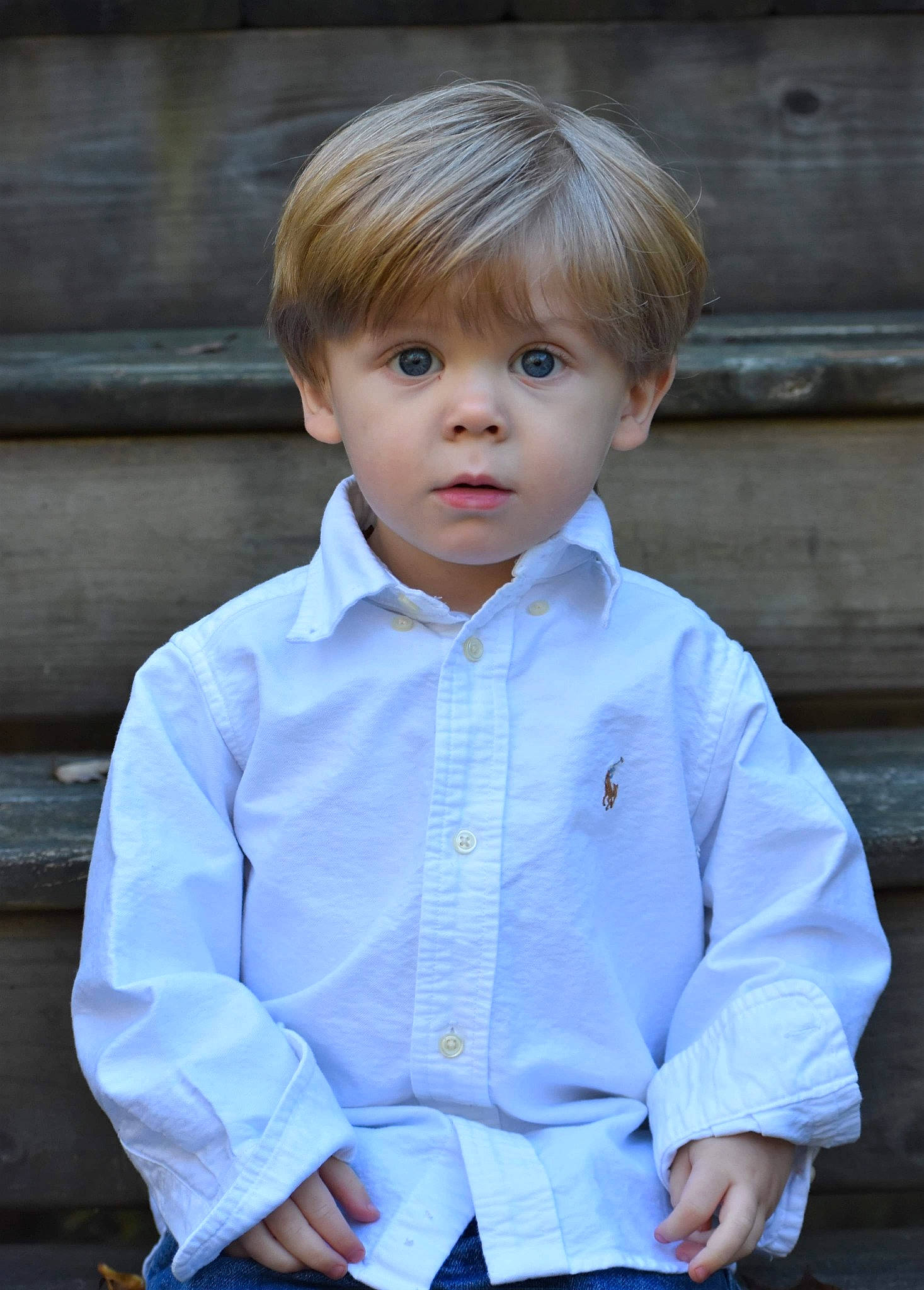 Skylar is registered to the contest to win money with this photo: blond, cheek, child, child_model, dress_shirt, face, hair, hairstyle, outerwear, pageboy, person, photography, portrait, shirt, sitting, sleeve, toddler, top