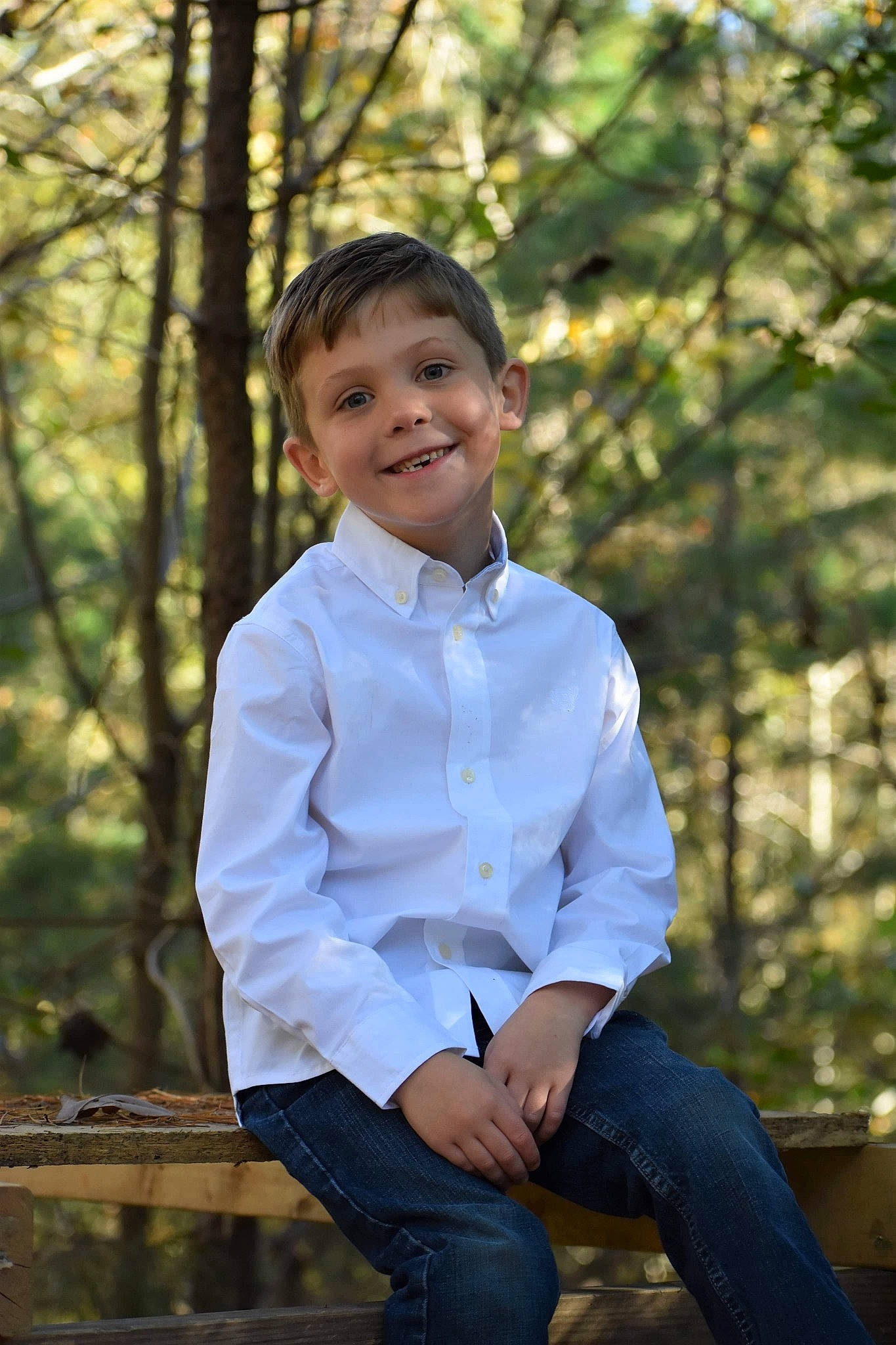 Noah joined the competition — help win amazing prizes! child, child_model, happy, joy, leaf, people_in_nature, person, photo_shoot, photograph, photography, portrait, portrait_photography, sitting, smile, standing, toddler, tree