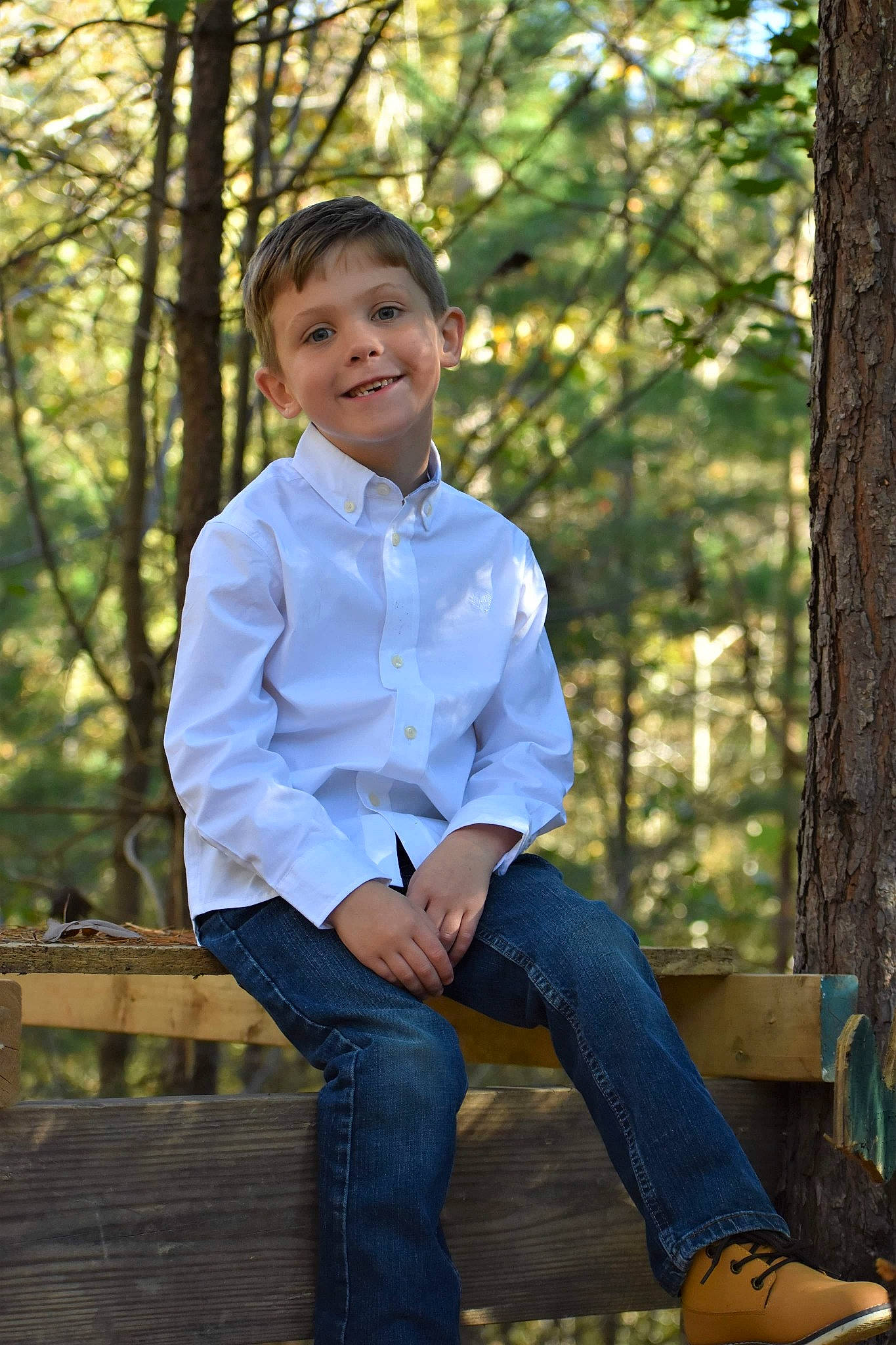 Noah is registered to the contest to win money with this photo: autumn, child, child_model, denim, jeans, joy, leaf, people_in_nature, person, photo_shoot, photograph, photography, portrait, portrait_photography, sitting, smile, toddler, tree