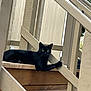 animal, black_cat, calm, cat, daylight, domestic_cat, feline, fur, greenery, nature, outdoor, paw, pet, quiet, railing, relaxing, resting, stairs, wood, wooden_stairs