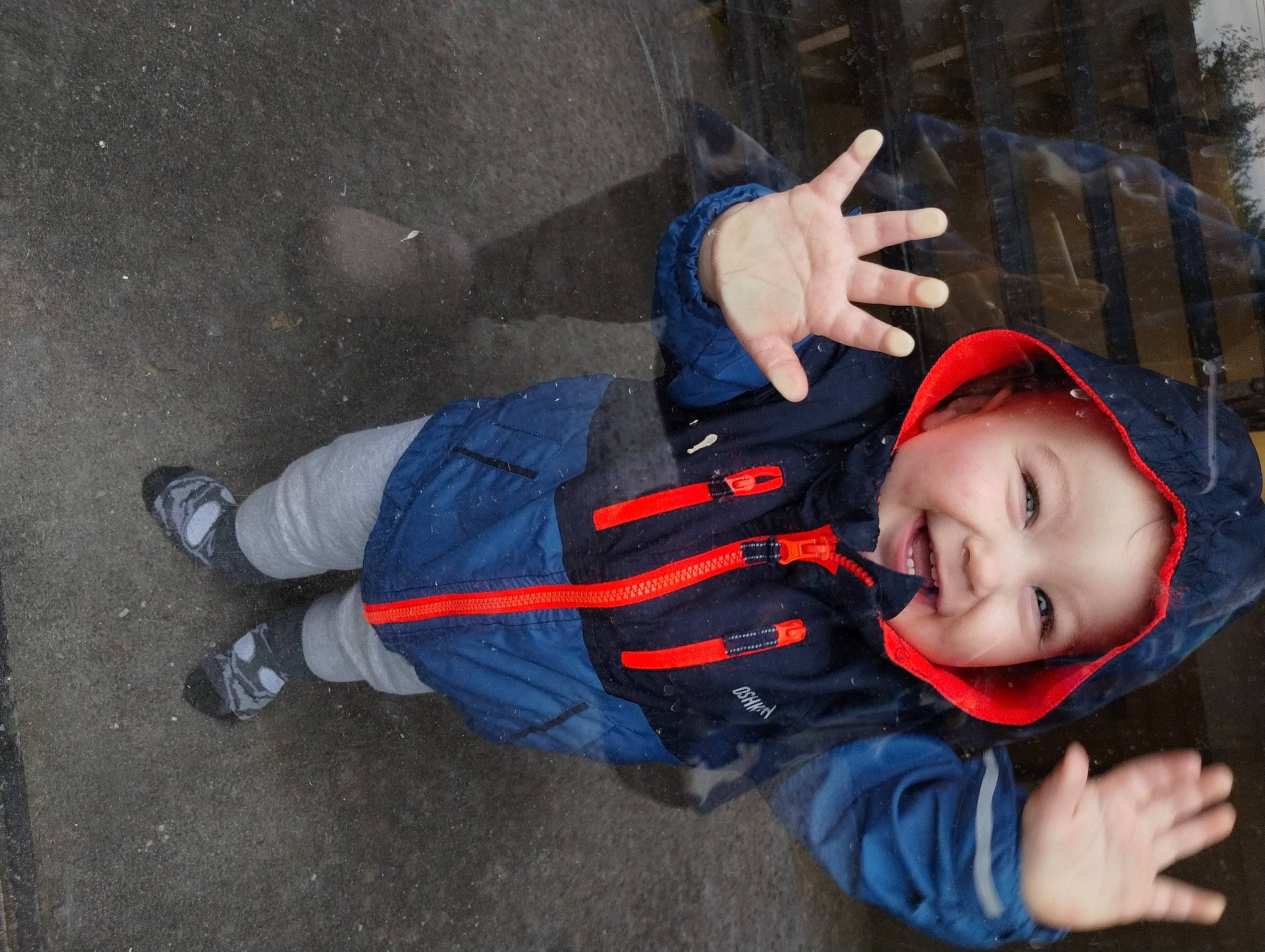 Colson joined the competition — help win amazing prizes! baby, child, cool, electric_blue, flash_photography, fun, grass, happy, headgear, headwear, jacket, leisure, outerwear, person, plant, sitting, smile, toddler, tree, walking_shoe