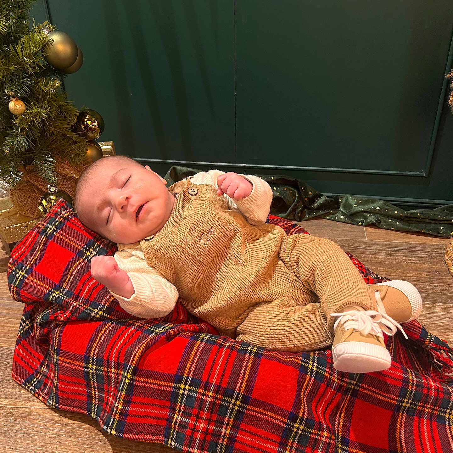 Alaz a rejoint le concours — aidez-le/la à gagner de superbes lots ! baby, blanket, child, christmas_tree, cozy, cute, decor, festive, holiday, indoor, infant, ornaments, overalls, person, portrait, relaxing, shoes, sleeping, tartan, wooden_floor