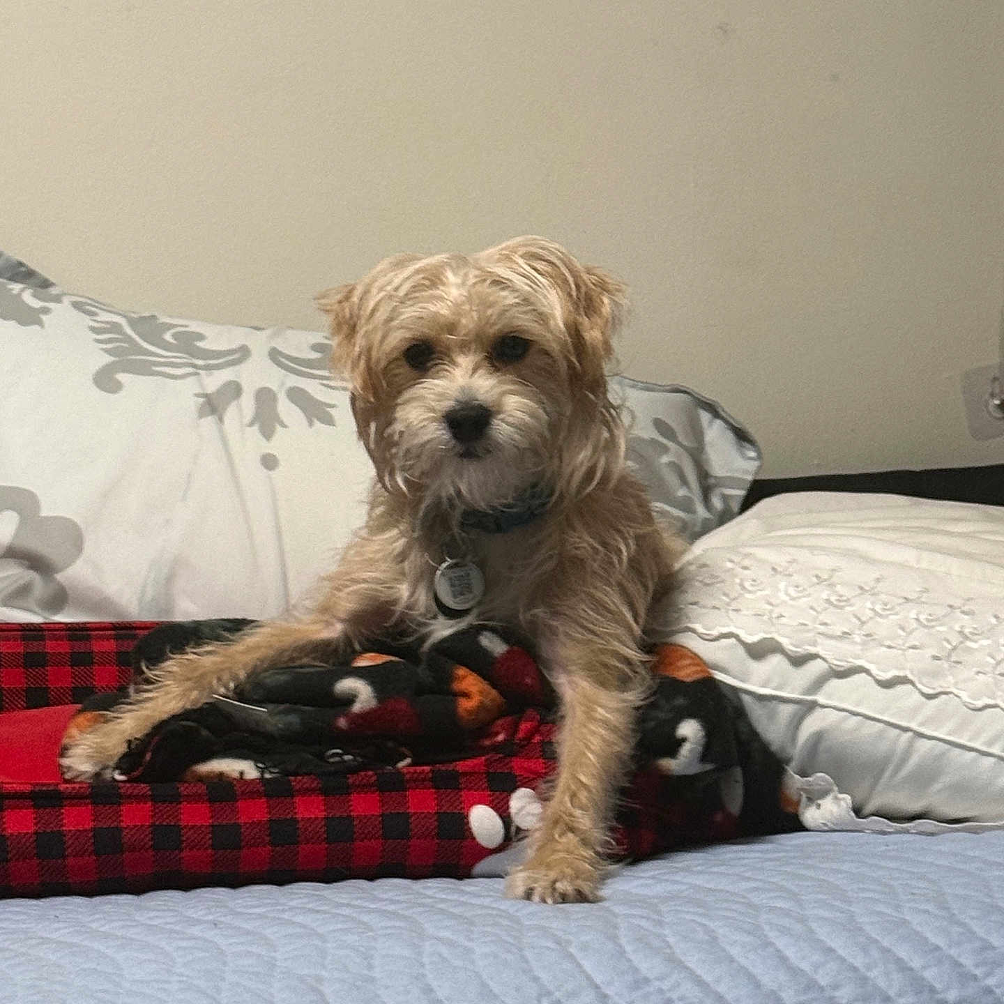 Max