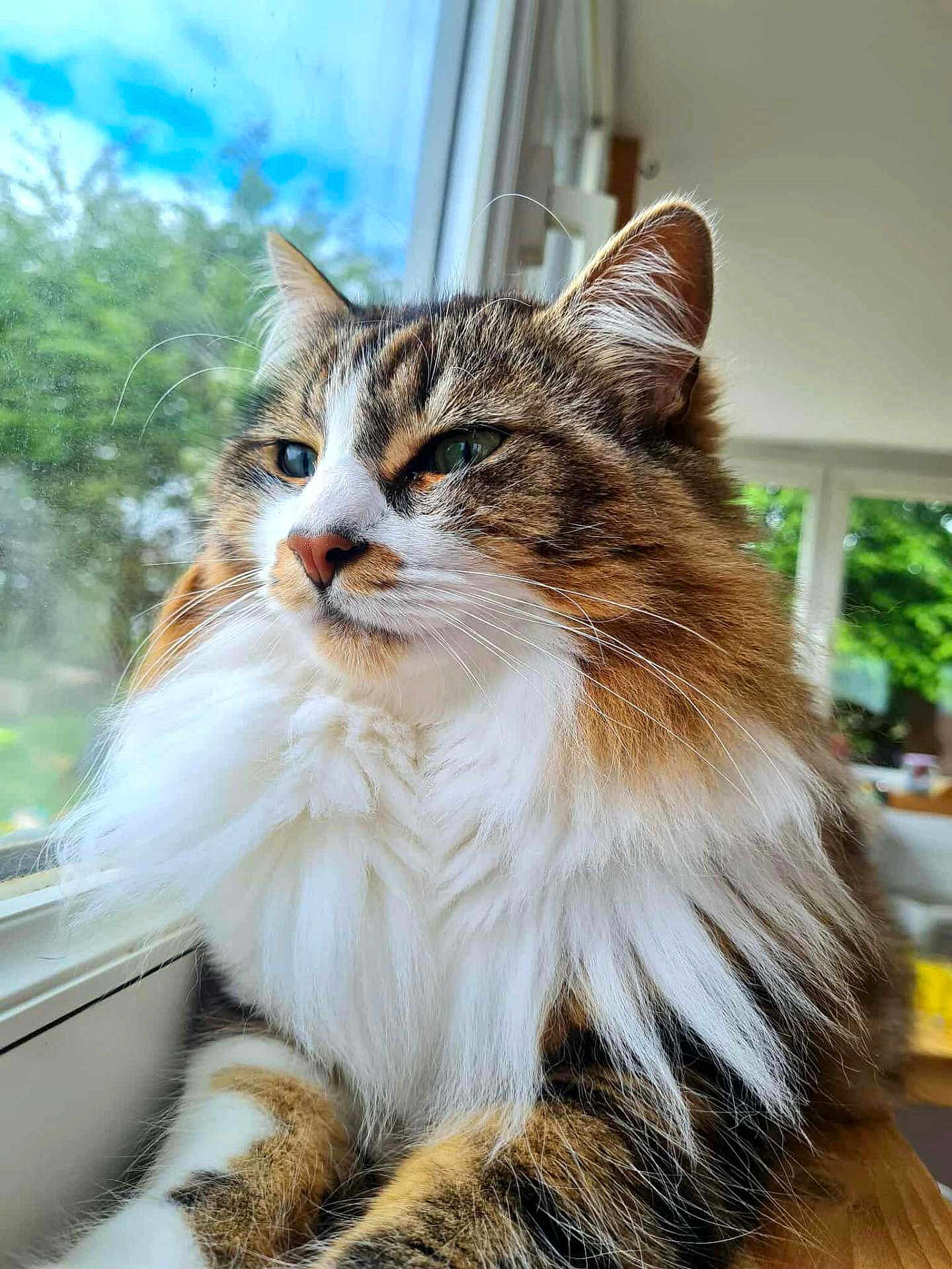Arthas
