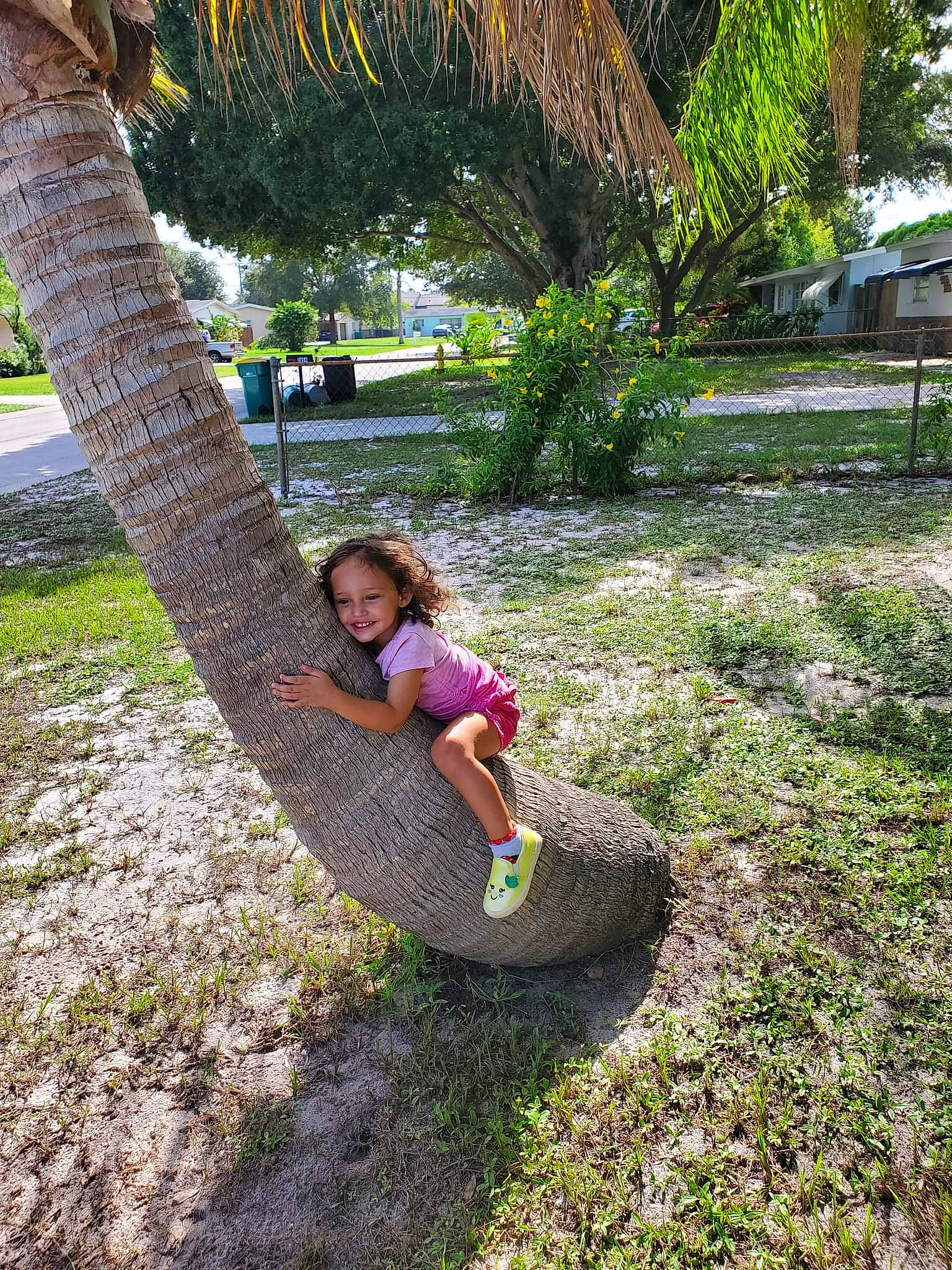 Rosalie is registered to the contest to win money with this photo: arecales, botany, fun, garden, grass, grass_family, groundcover, joy, landscape, lawn, leaf, leisure, palm_tree, people_in_nature, person, plant, smile, toddler, tree, trunk