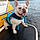 Pepe