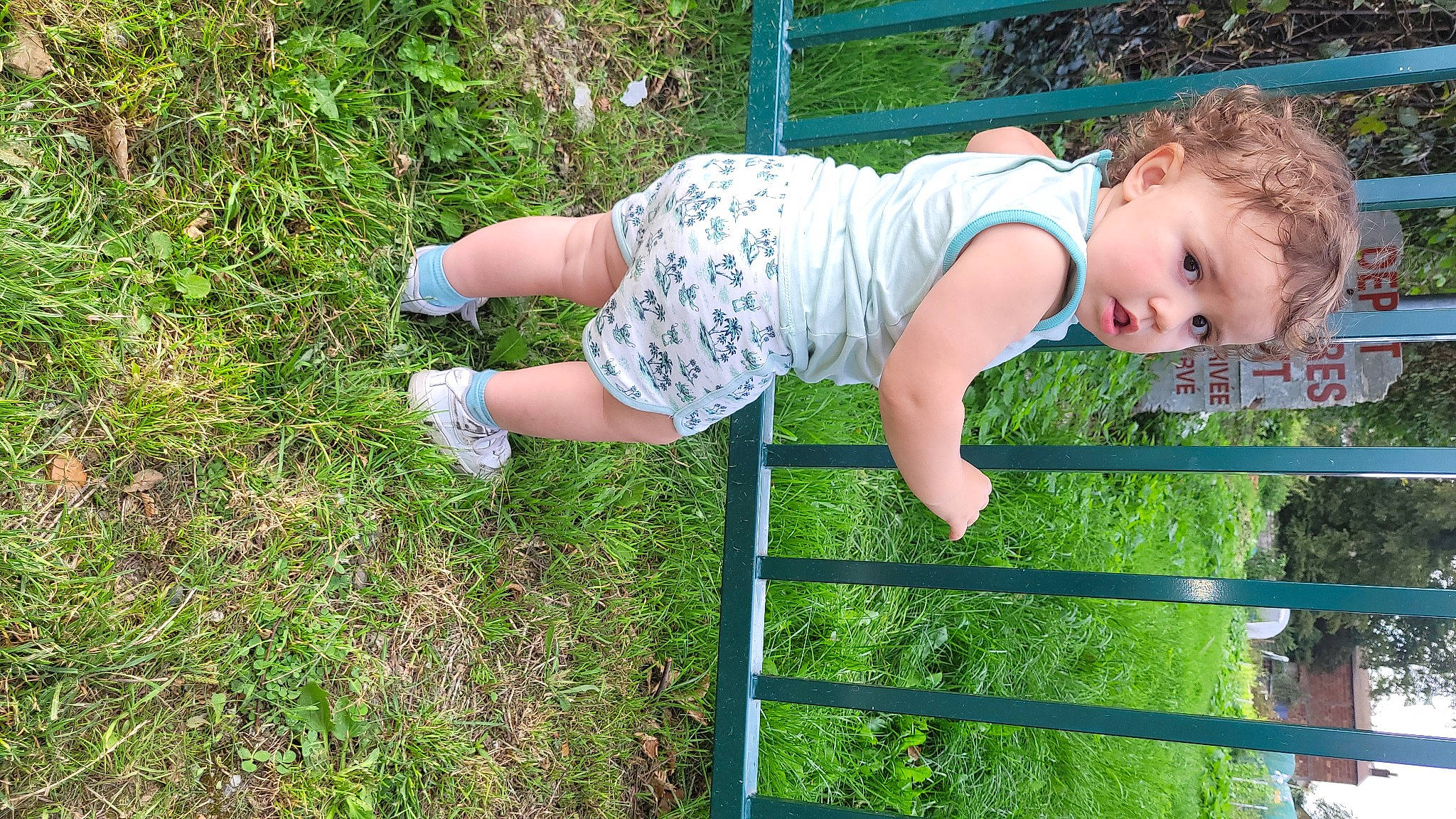 Farès Rebbani participe au concours pour gagner de l'argent avec cette photo : baby, baby_toddler_clothing, child, electric_blue, fun, grass, grass_family, happy, human_leg, lawn, leisure, pattern, people_in_nature, person, plant, play, recreation, shorts, surprise, t_shirt