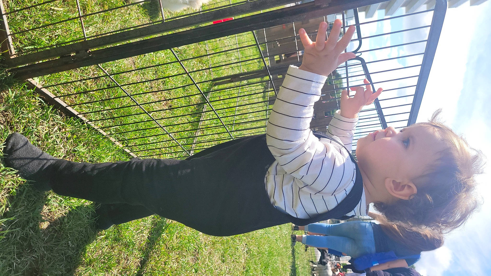 Farès Rebbani a rejoint le concours — aidez-le/la à gagner de superbes lots ! child, fun, grass, hammock, happy, leaf, leisure, mammal, mesh, net, outdoor_play_equipment, people_in_nature, person, plant, recreation, shade, swing, toddler, tree, vertebrate