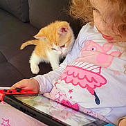 Caramel participe au concours pour gagner de l'argent avec cette photo : animal, cat, child, computer, couch, cushion, electronics, face, female, furniture, girl, head, kitten, laptop, pc, person, pet, photography, portrait, tabletcomputer