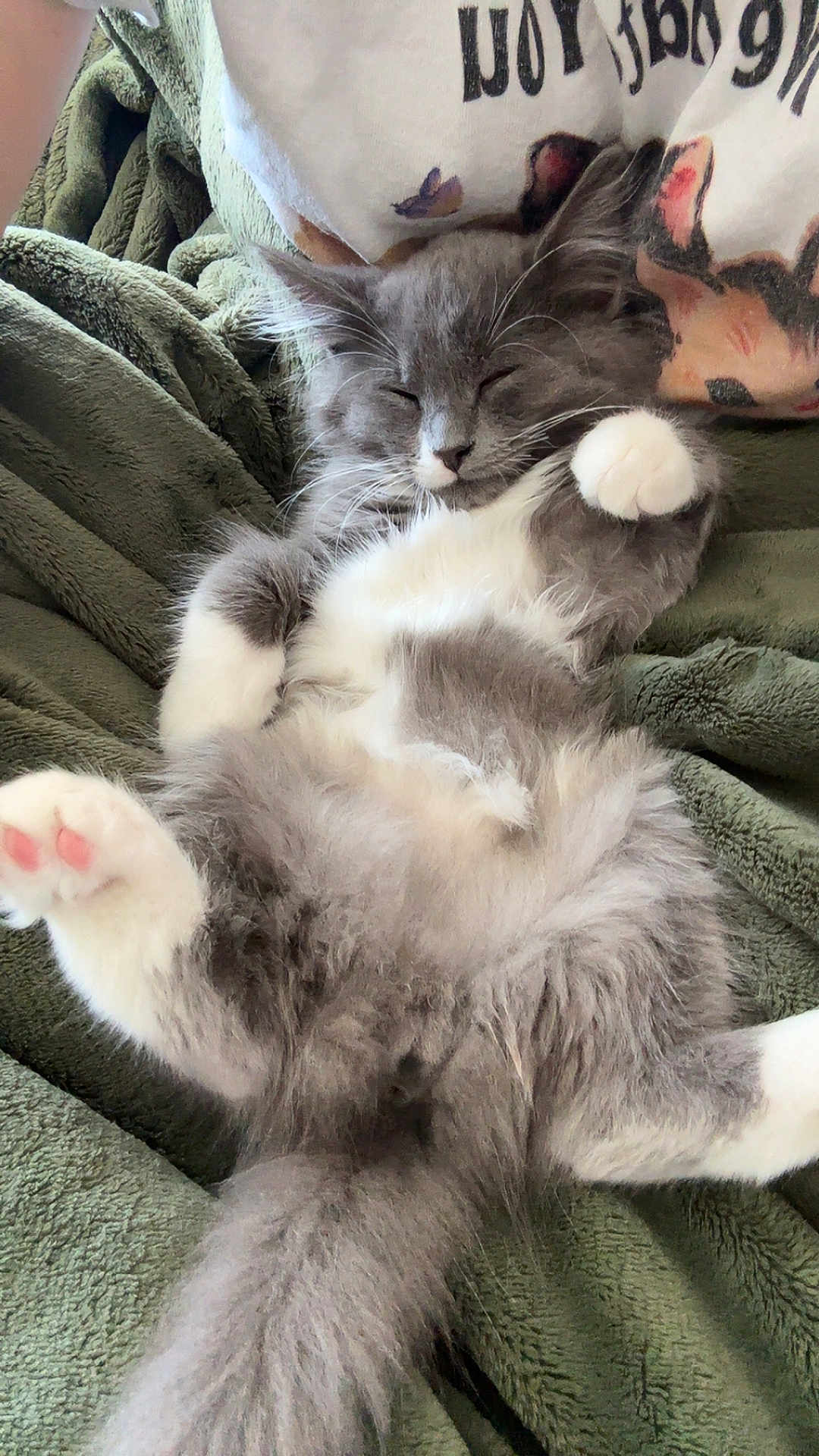 Princess Donut
