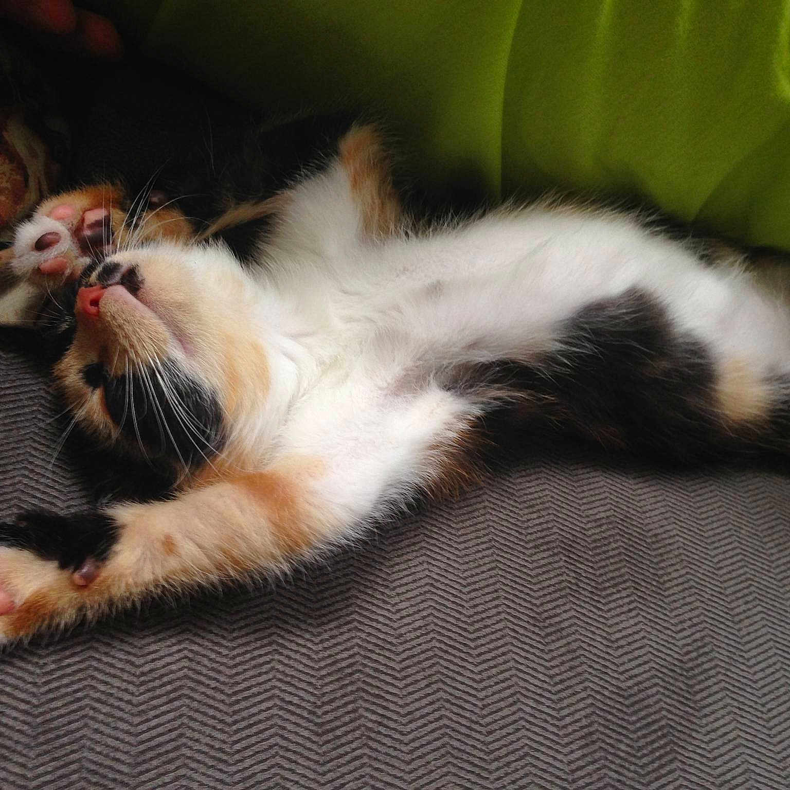 Yui joined the competition — help win amazing prizes!