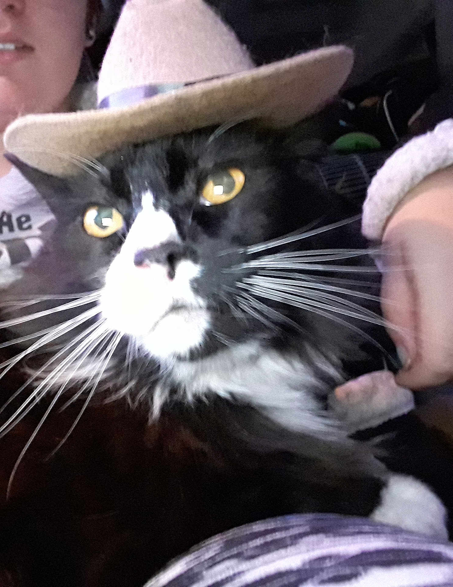 Odin