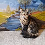 cat, tabby, fluffy, carpet, indoor, painting, nature, river, bridge, tree, sky, clouds, animal, pet, sitting, fur, eyes, tail, background, art
