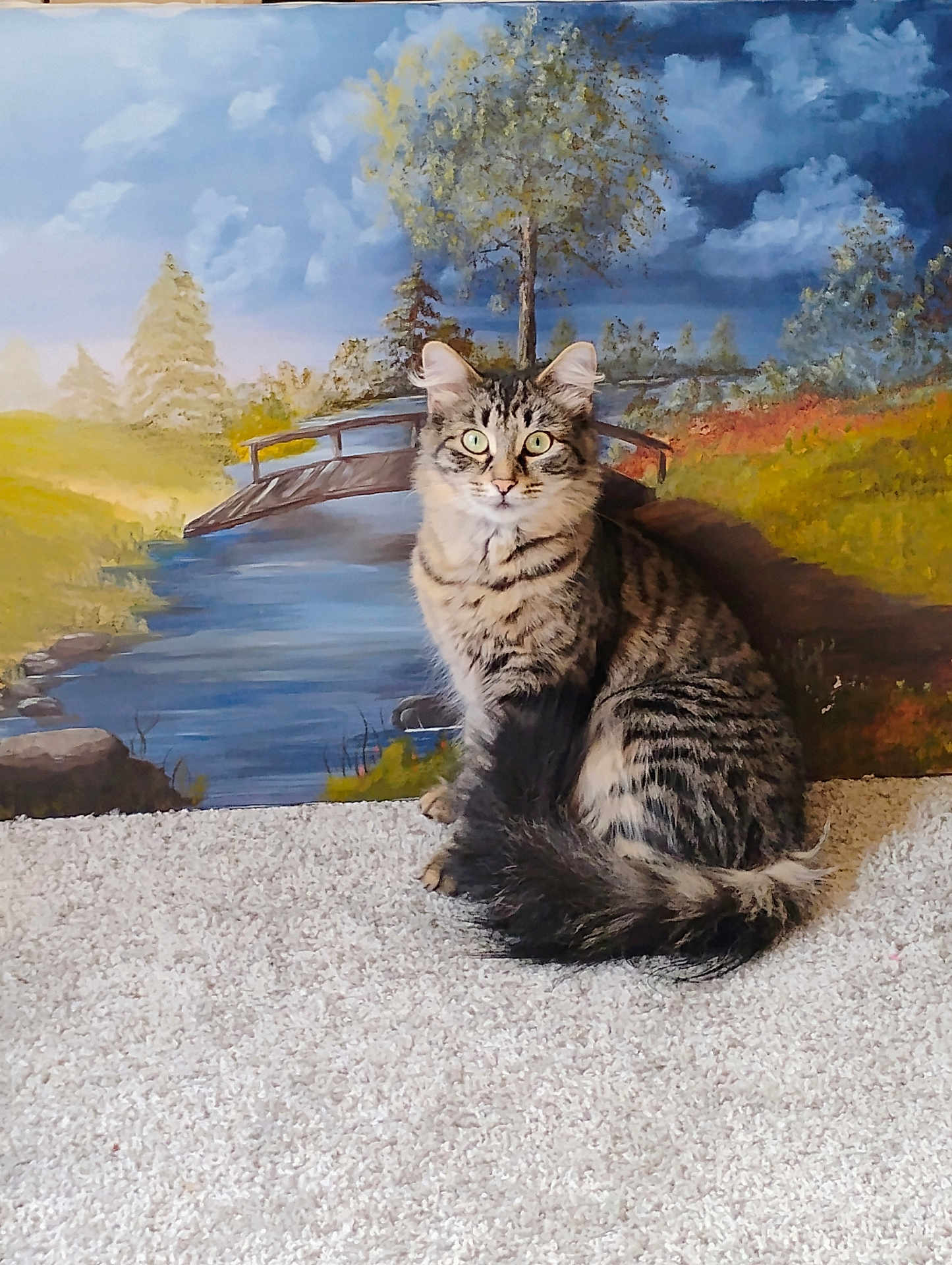 Tilly is registered to the contest to win money with this photo: cat, tabby, fluffy, carpet, indoor, painting, nature, river, bridge, tree, sky, clouds, animal, pet, sitting, fur, eyes, tail, background, art