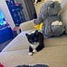 kitten, cat, black_and_white, stuffed_animal, elephant, couch, living_room, furniture, indoor, pet, animal, cute, whiskers, fur, relaxing, home, toy, sitting, curious, cozy