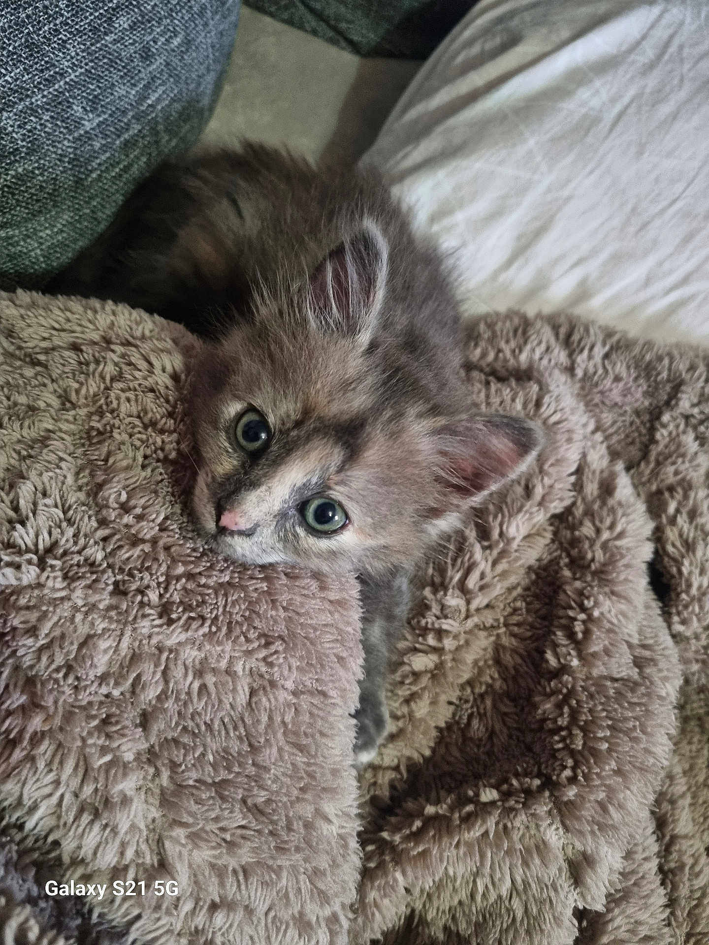 Luna