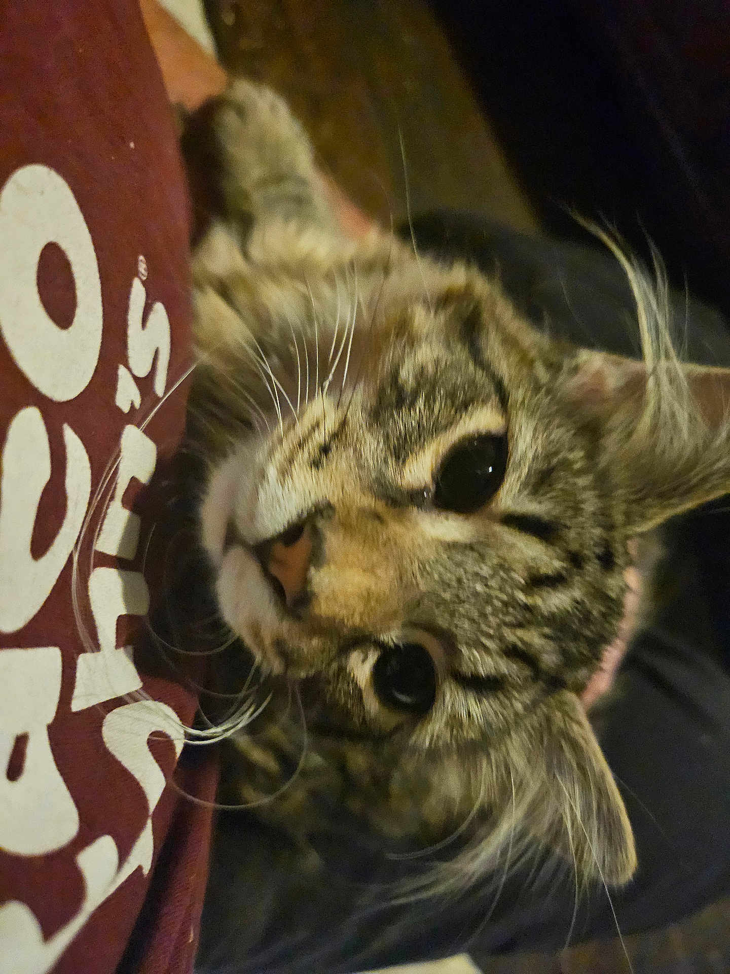 Theo