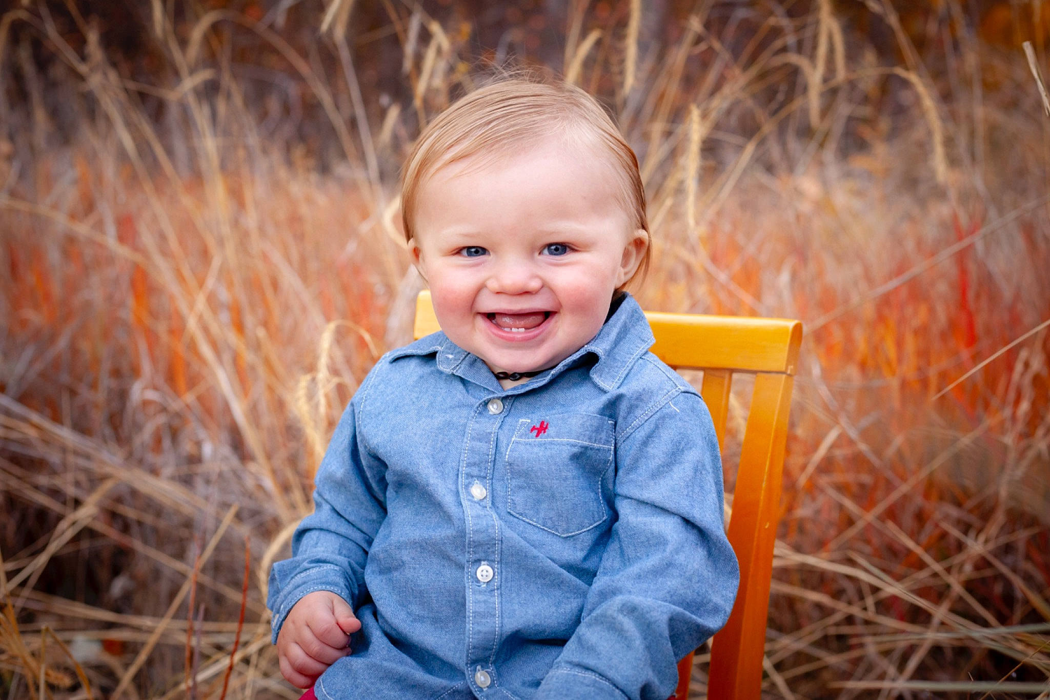 Decker is registered to the contest to win money with this photo: baby, child, child_model, eye, face, grass, grass_family, happy, joy, people, people_in_nature, person, photograph, photography, portrait, portrait_photography, sitting, sky, smile, toddler