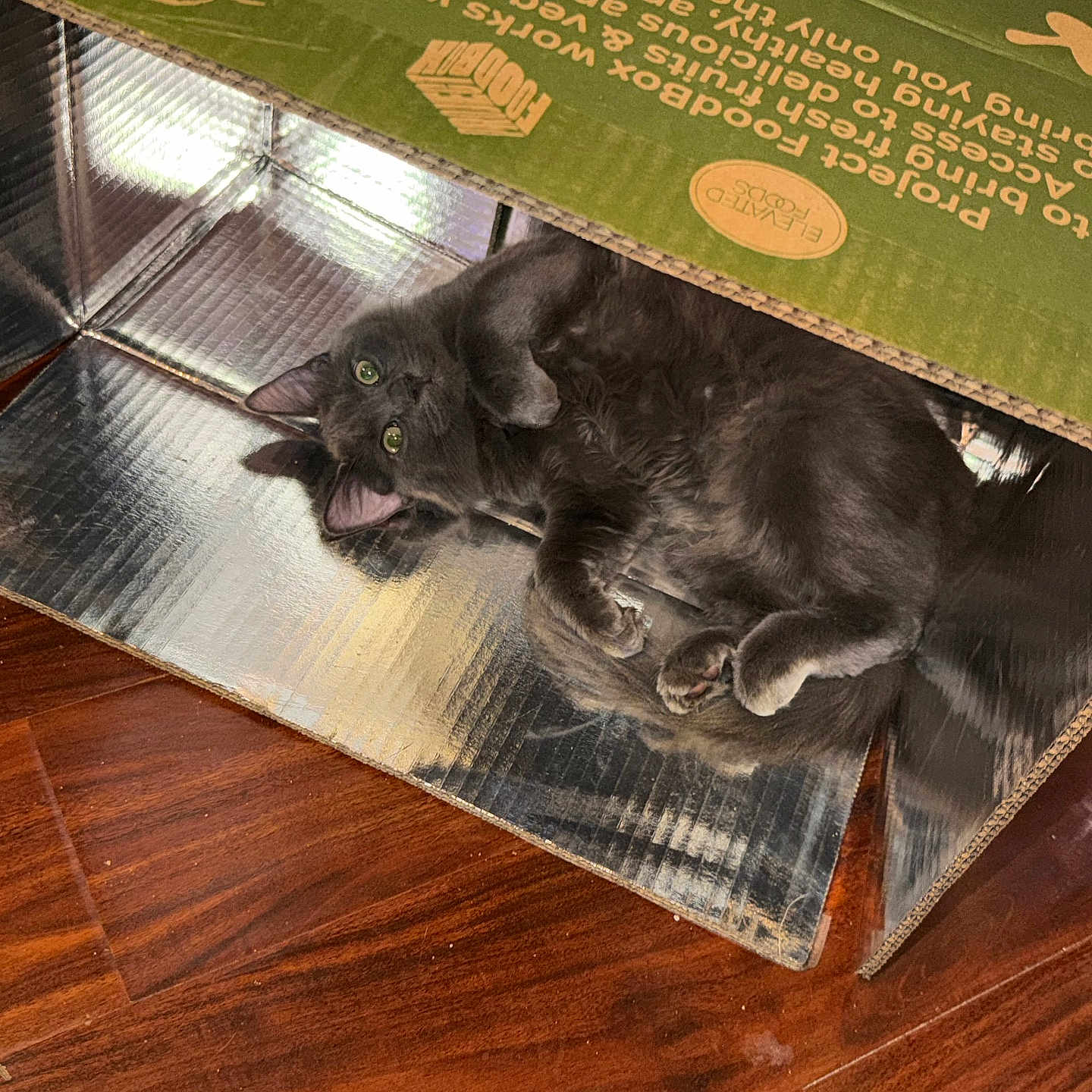 Sausage