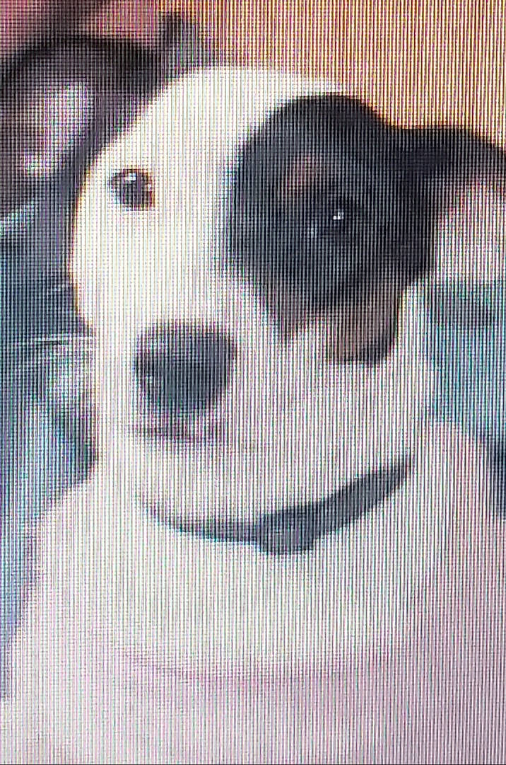 Boo Boo is registered to the contest to win money with this photo: art, circle, electric_blue, entertainment, event, facial_expression, font, fun, graphics, illustration, mesh, mouth, nose, organism, pattern, space, symmetry, textile, toddler, visual_arts