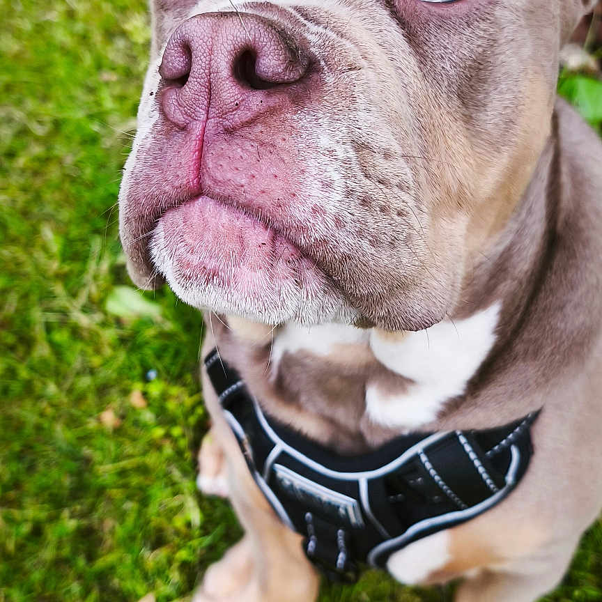 Baxter