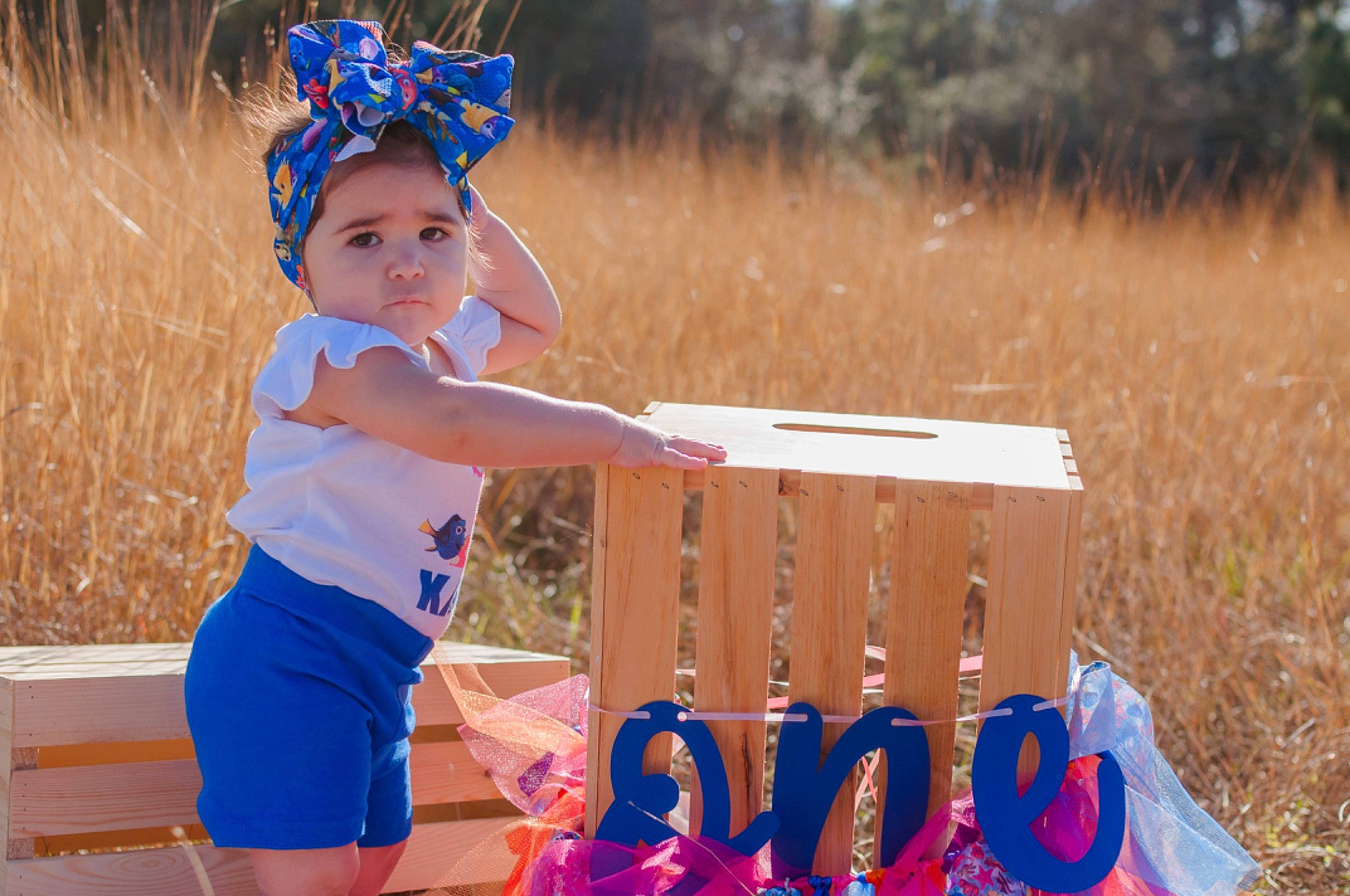 Kaci is registered to the contest to win money with this photo: blue, child, crown, electric_blue, fashion_accessory, fun, grass, happy, headband, headpiece, headwear, leisure, people_in_nature, person, personal_protective_equipment, plant, play, recreation, sitting, soil