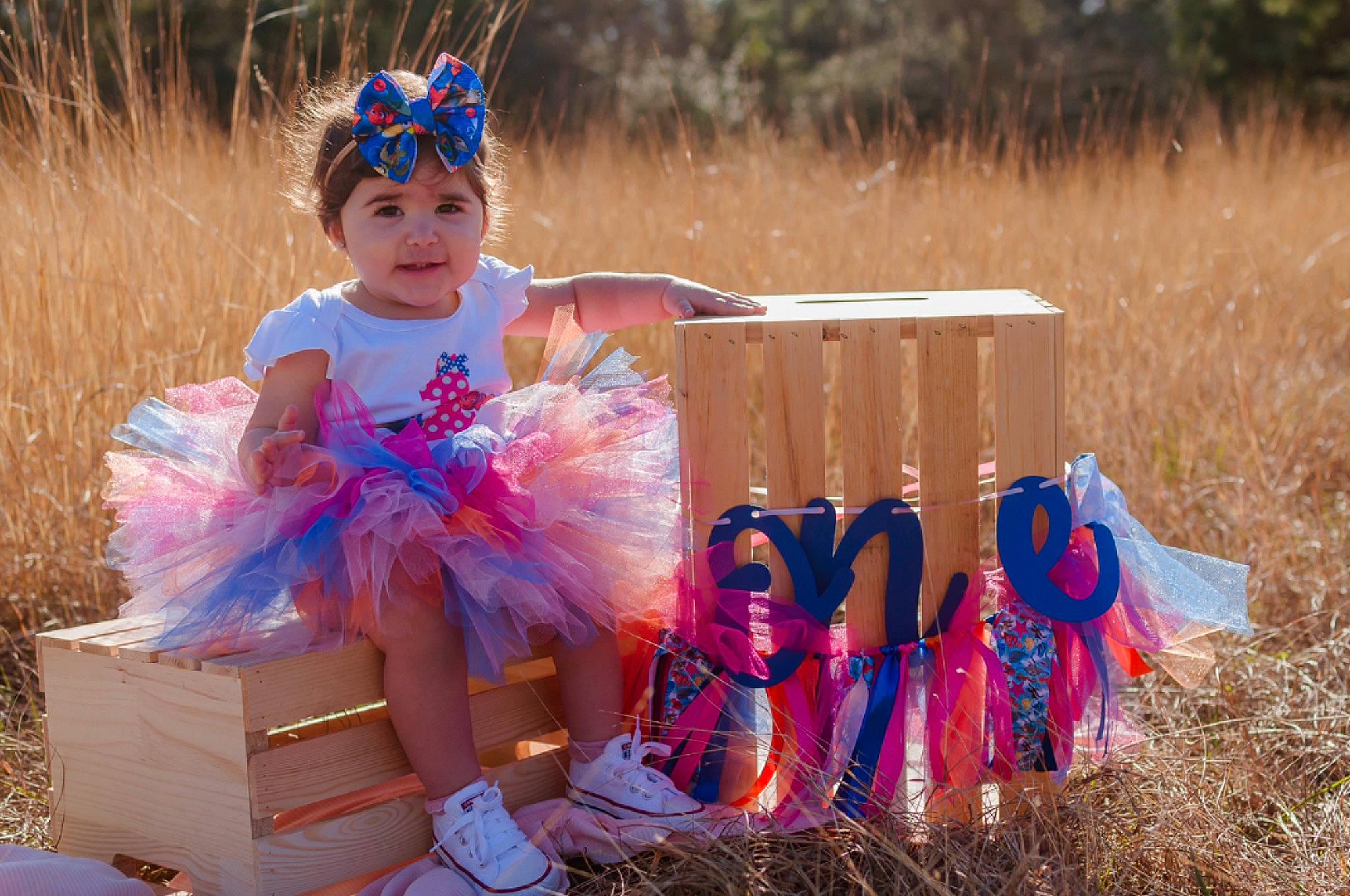 Kaci joined the competition — help win amazing prizes! baby_toddler_clothing, child, costume, dress, electric_blue, event, fashion_accessory, fun, grass, happy, headpiece, headwear, leisure, magenta, people_in_nature, person, plant, recreation, sitting, spring