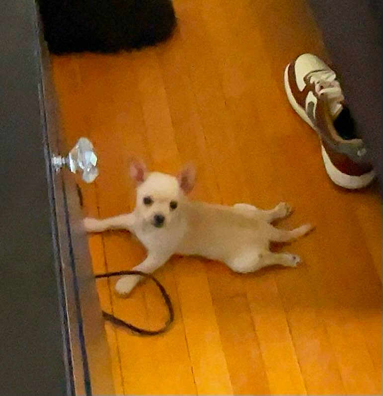 Romeo
