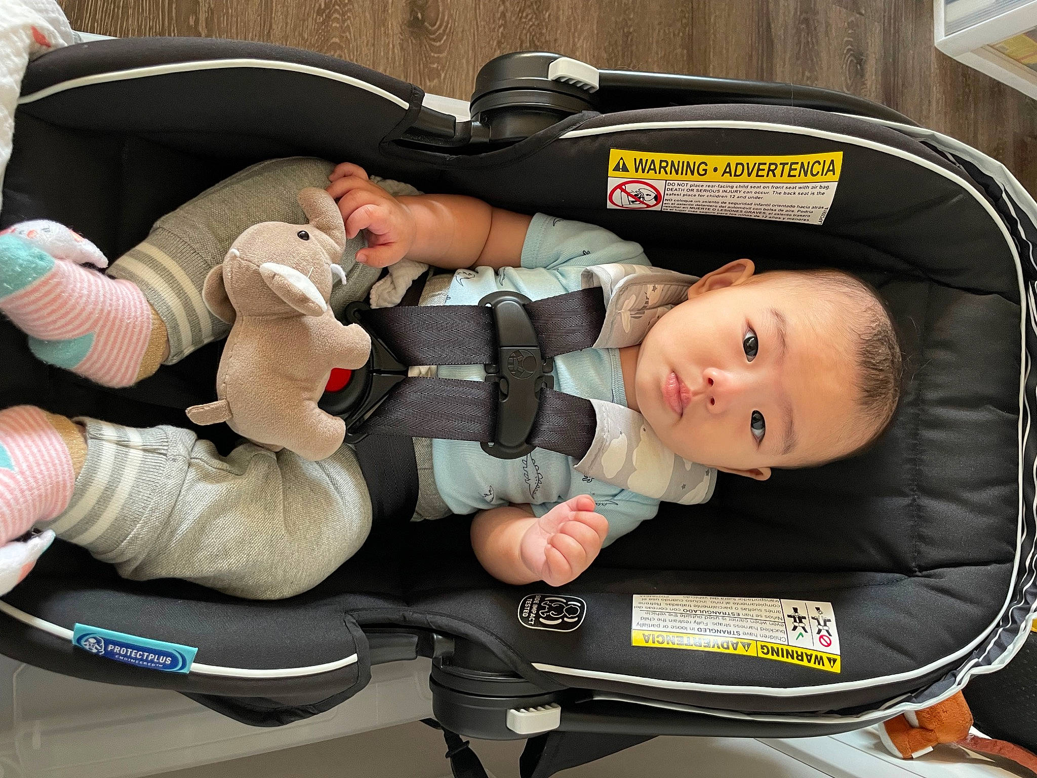 Jesse joined the competition — help win amazing prizes! auto_part, baby, baby_carriage, baby_in_car_seat, baby_products, baby_safety, baby_sleeping, baby_toddler_clothing, bag, car_seat, child, comfort, lap, person, service, sitting, toddler, travel