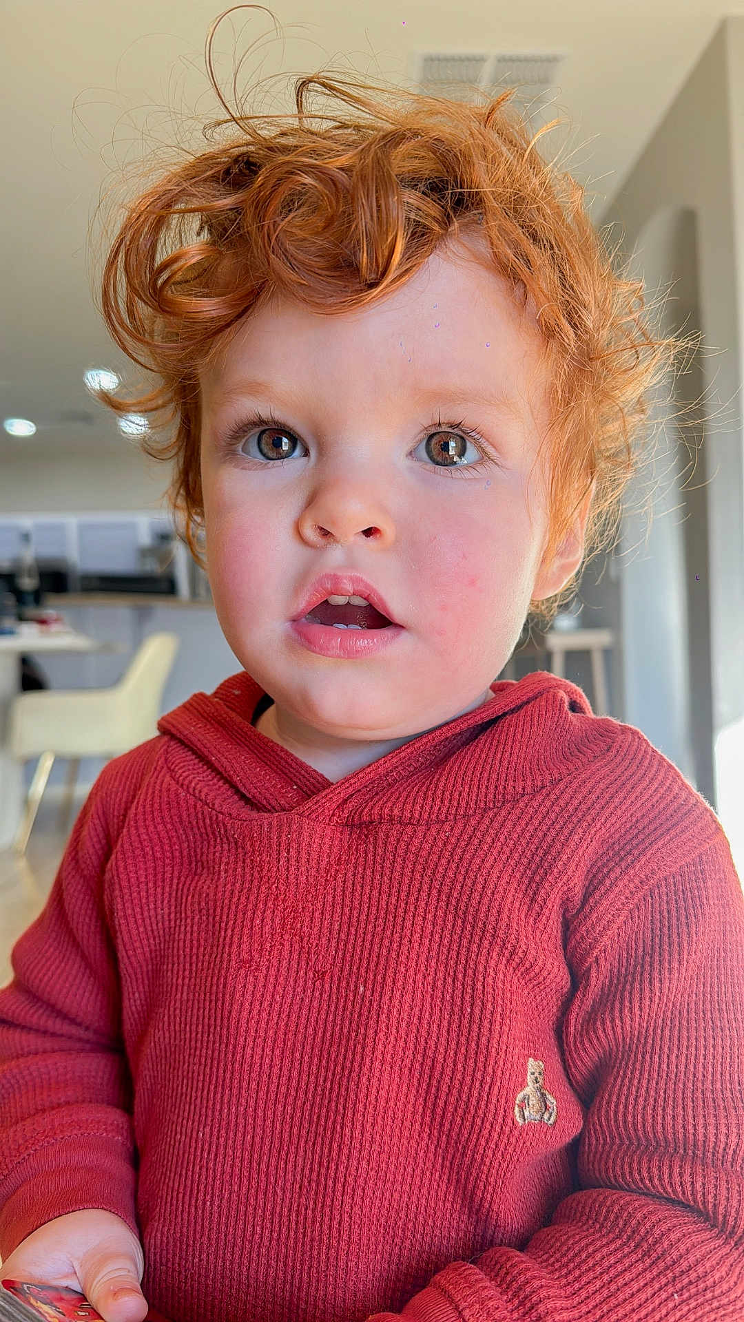 Adriel is registered to the contest to win money with this photo: toddler, child, red_hair, curly_hair, indoors, hoodie, red_clothing, face, eyes, expression, person, young_child, curiosity, portrait, skin, hand, furniture, table, chair, lighting