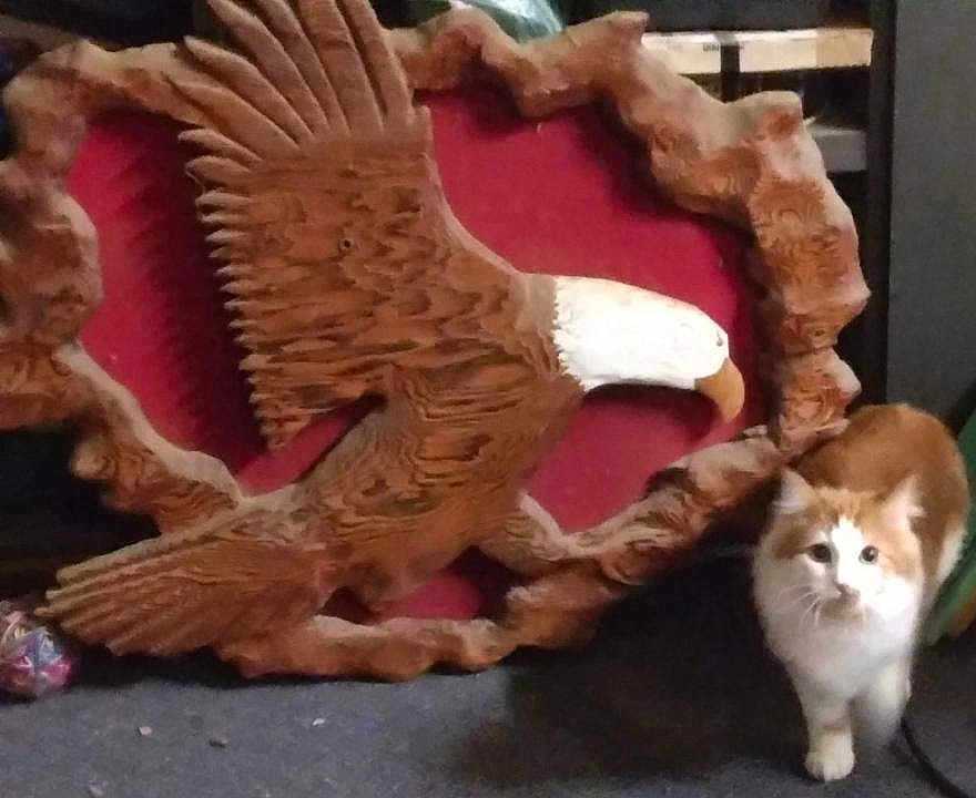 Tongo joined the competition — help win amazing prizes! cat, orange_cat, white_cat, wooden_carving, eagle, sculpture, carpet, indoor, animal, pet, feline, decor, ornament, curious, floor, furniture, brown, red_background, texture, wildlife_replica