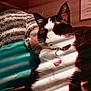 cat, black_and_white, pet, collar, heart_tag, indoor, blanket, striped_light, sunlight, cozy, relaxed, feline, resting, warm_colors, soft_texture, fur, closeup, cute, domestic, comfort
