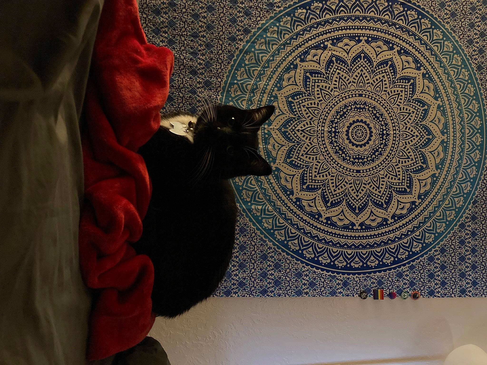 Batman joined the competition — help win amazing prizes! art, carmine, carpet, circle, felidae, flooring, font, interior_design, linens, magenta, motif, ornament, pattern, rectangle, room, small_to_medium_sized_cats, textile, tints_and_shades, visual_arts, wallpaper