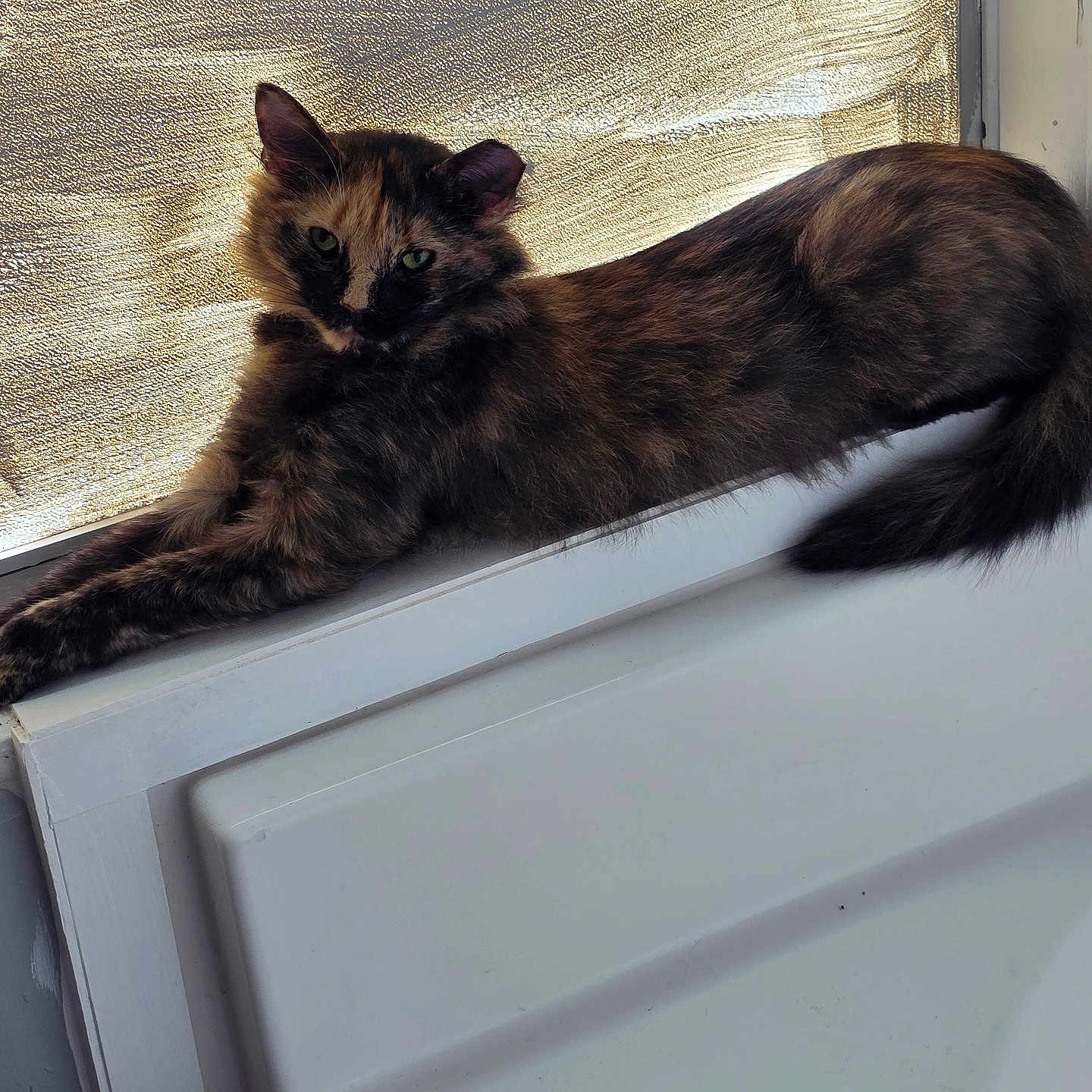 Missy