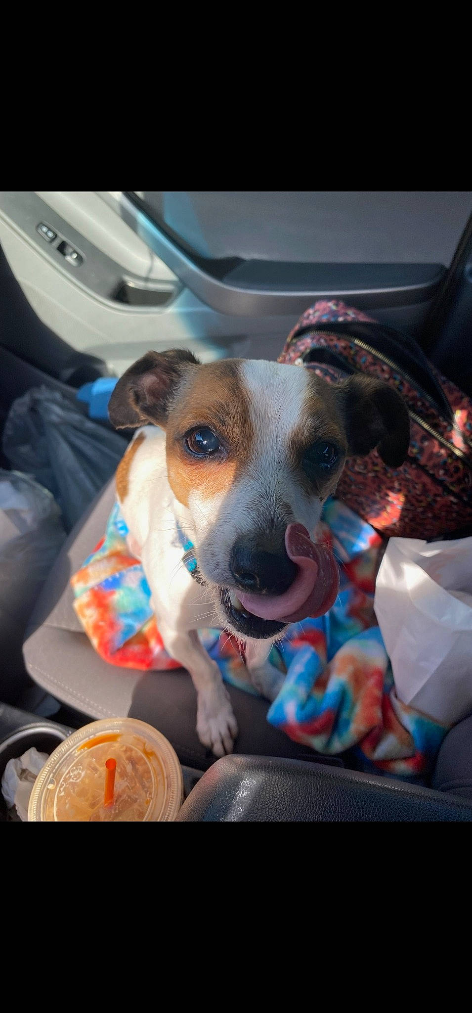 Jax is registered to the contest to win money with this photo: auto_part, automotive_exterior, canidae, car_seat, carnivore, collar, comfort, companion_dog, dog, dog_breed, dog_supply, snout, sporting_group, vehicle_door, working_animal