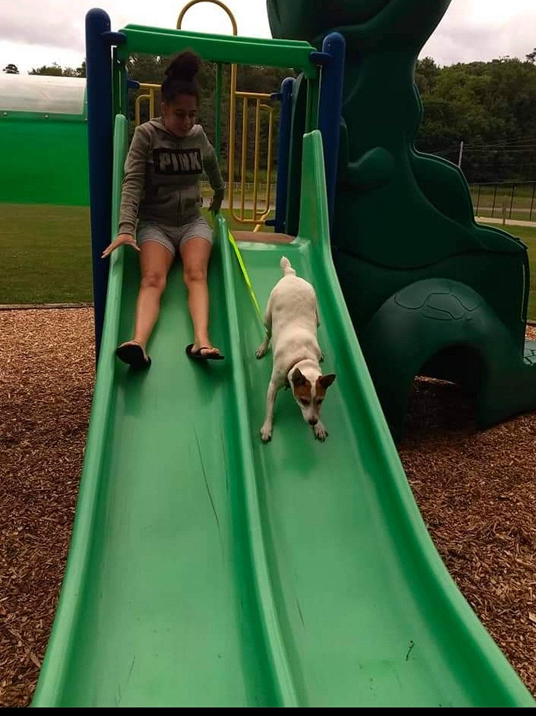 Rowdy joined the competition — help win amazing prizes! child, chute, city, cloud, fun, grass, green, leisure, outdoor_play_equipment, outdoor_recreation, plant, play, playground, playground_slide, recreation, shade, shorts, sky, toddler, tree