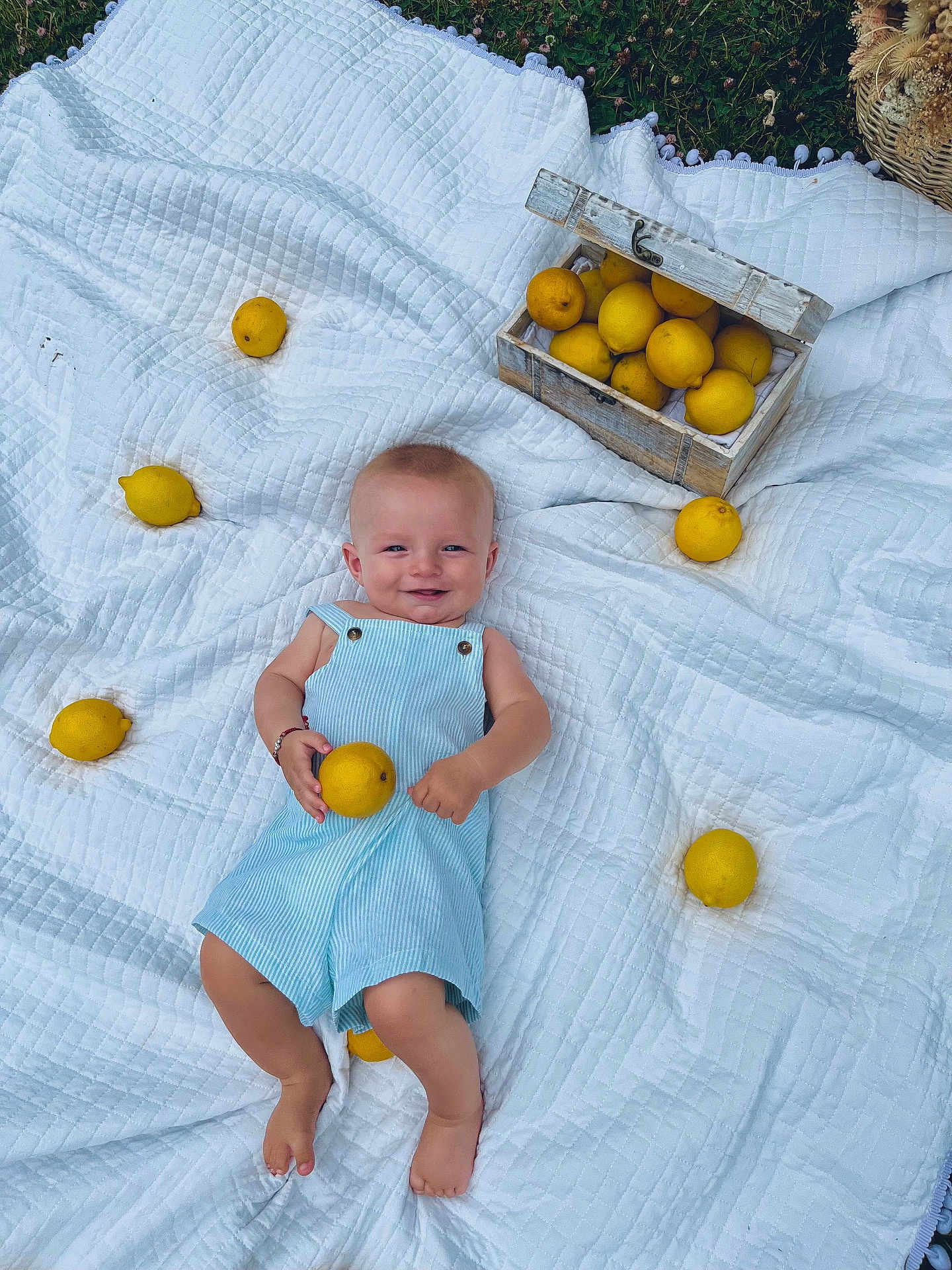 Mark a rejoint le concours — aidez-le/la à gagner de superbes lots ! baby, child, outdoor, lemons, white_quilt, blue_romper, smiling, grass, basket, wooden_box, fruit, nature, cute, happy, infant, picnic, summer, barefoot, playful, relaxing