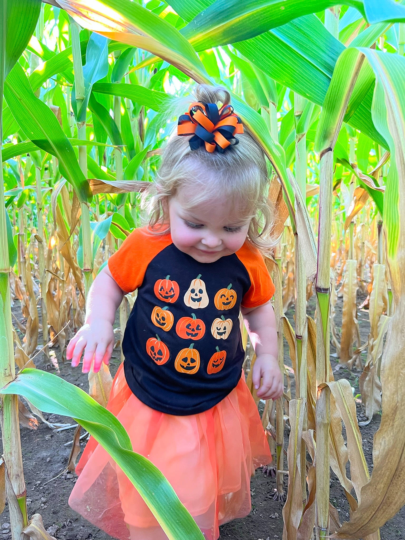 Everleigh is registered to the contest to win money with this photo: agriculture, baby, baby_toddler_clothing, child, garden, grass, happy, insect, leaf, moths_and_butterflies, pattern, people_in_nature, person, plant, plant_stem, plantation, sitting, sleeve, t_shirt, terrestrial_plant