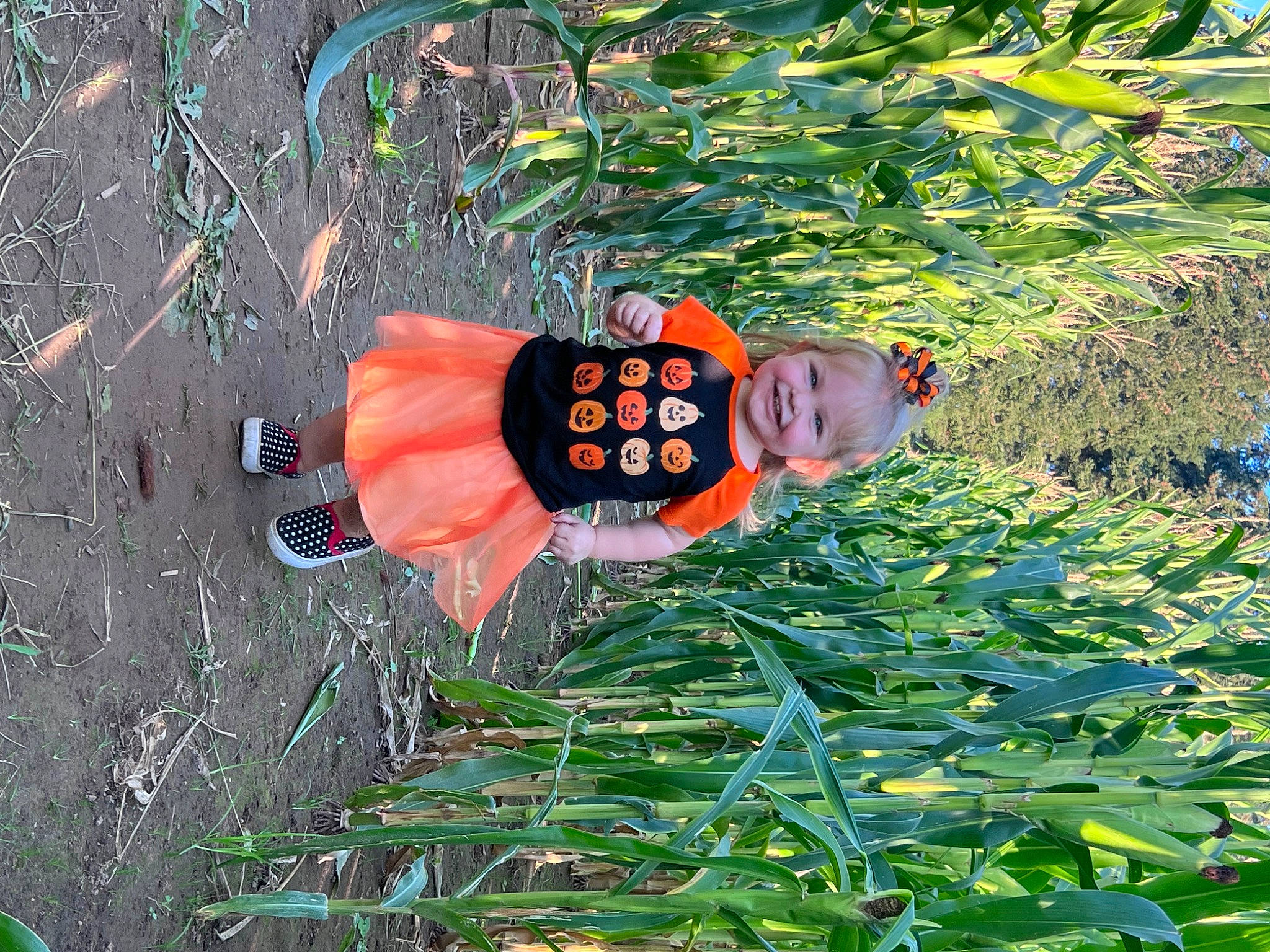 Everleigh is registered to the contest to win money with this photo: garden, grass, grass_family, groundcover, hat, joy, landscape, lawn_ornament, leisure, organism, people_in_nature, person, plant, shrub, smile, soil, terrestrial_plant, toddler, tree, vegetation