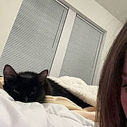 Nova is registered to the contest to win money with this photo: cat, black_cat, bed, blanket, indoor, window, blinds, person_partial, hair, resting, cozy, sleepy, feline, animal, domestic, comfort, soft, quiet, relaxation, night