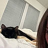 cat, black_cat, bed, blanket, indoor, window, blinds, person_partial, hair, resting, cozy, sleepy, feline, animal, domestic, comfort, soft, quiet, relaxation, night